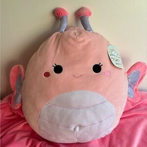 🦋16" Pink Butterfly Squishmallow!🦋